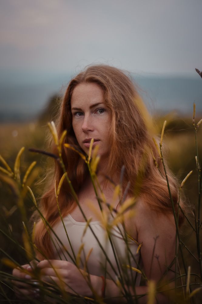 Photograph by Дмитрий Трофименко