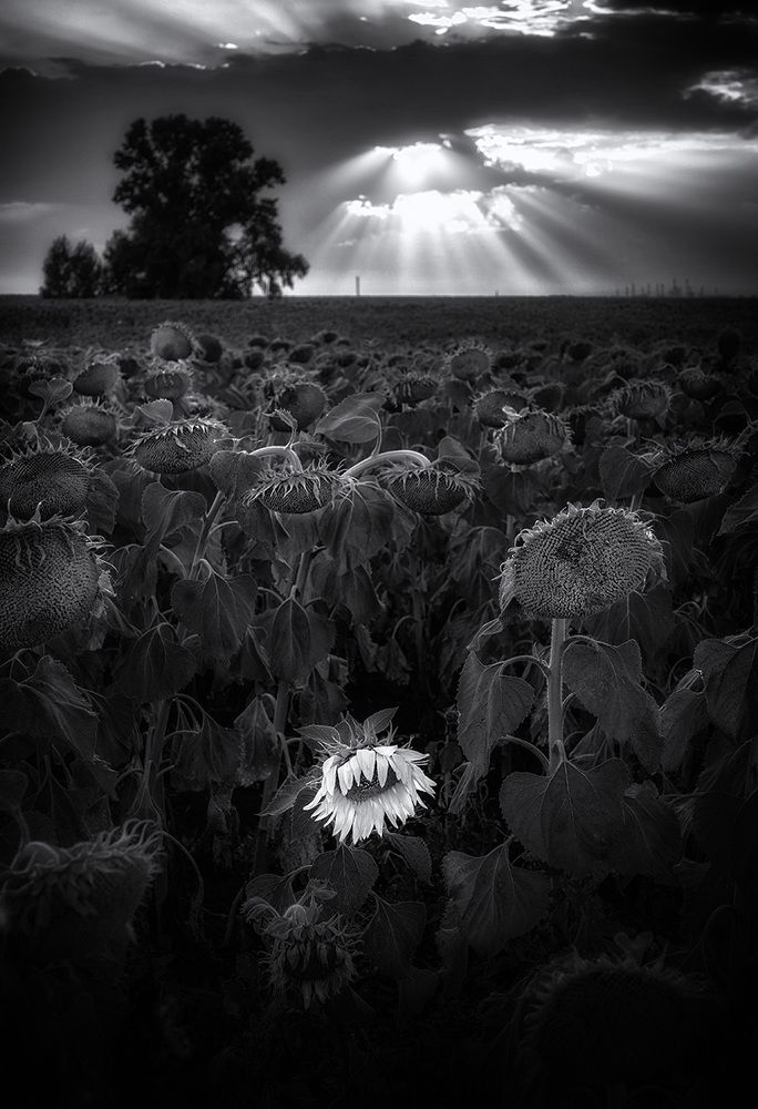 Photograph by Тамара Андреева