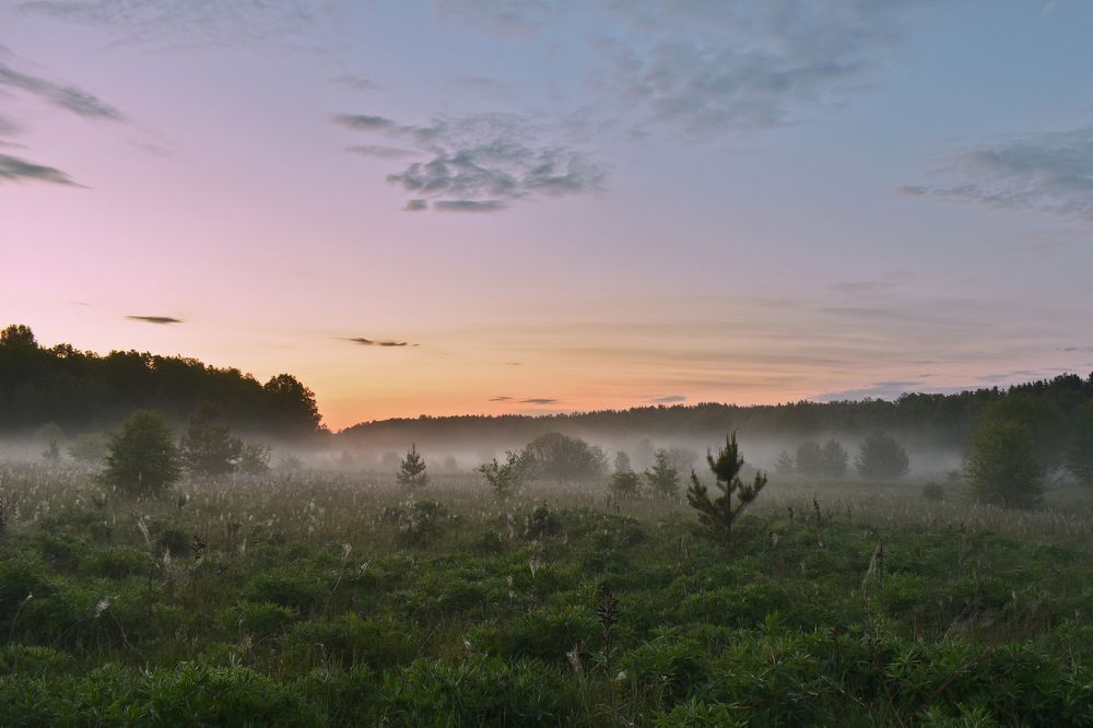 Photograph by Игорь