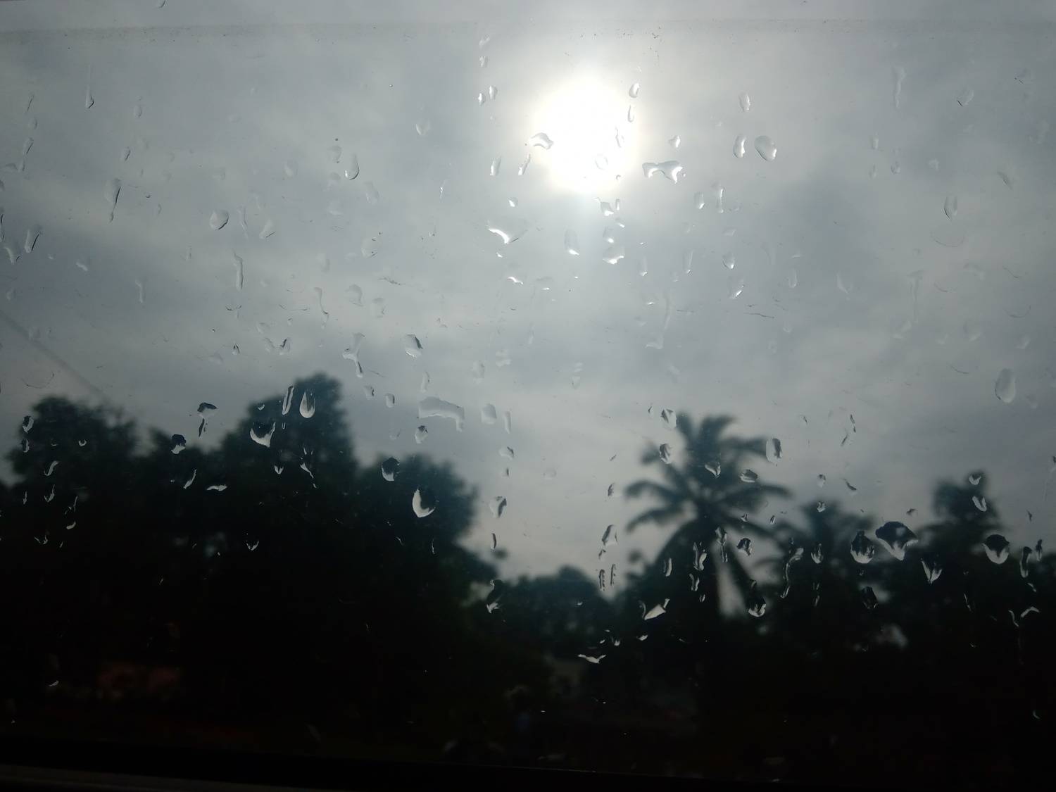 Photo #6399023