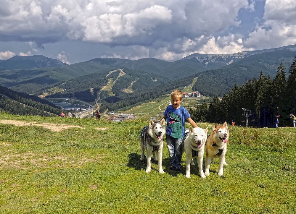 Фотография автора Роман Савоцкий