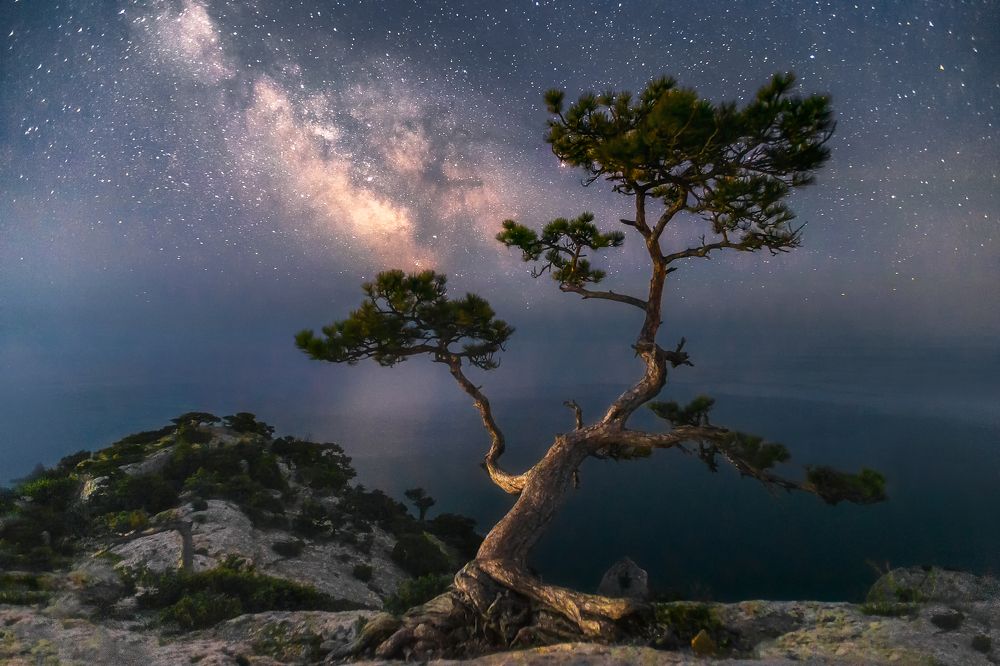 Photograph by Юрий Столыпин