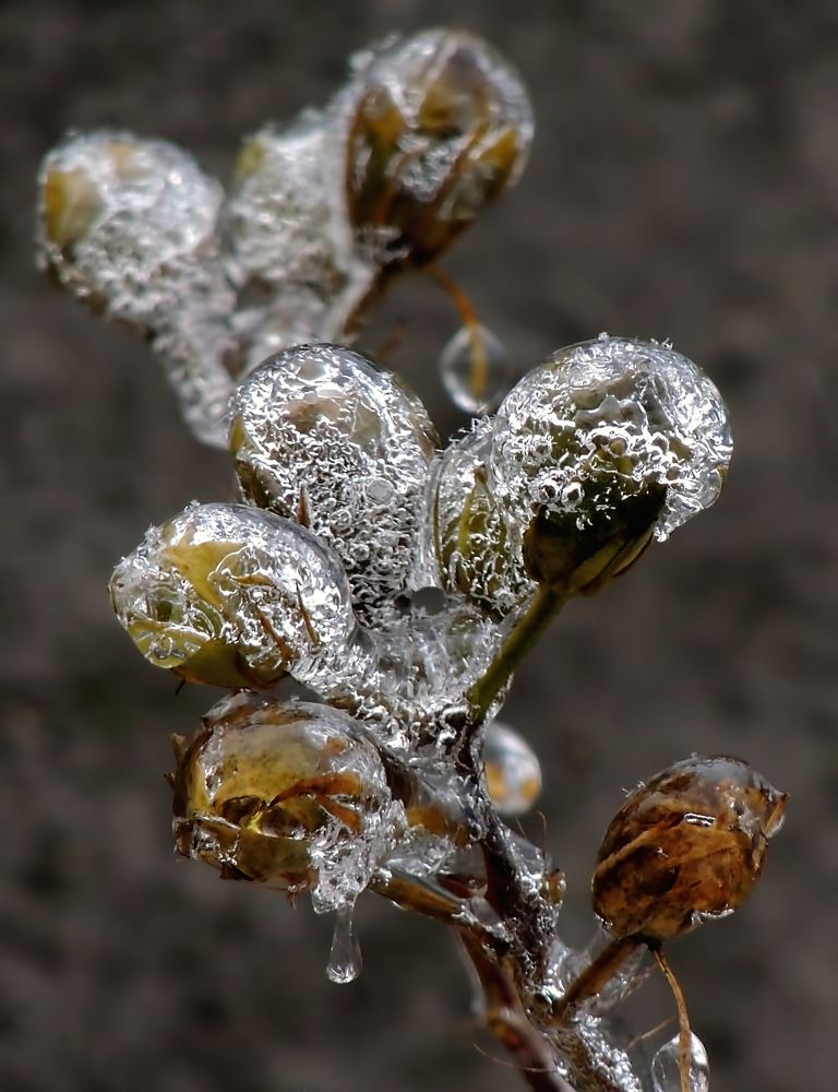 Photograph by Роман Савоцкий