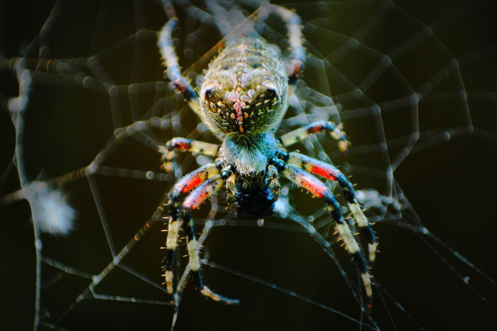 Фотография автора Леонид Захаров