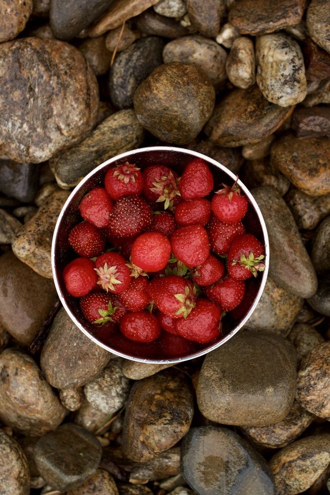 Photograph by Анастасия Полищук