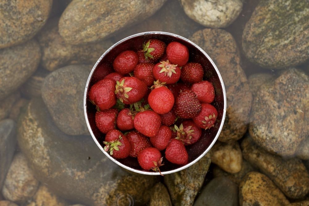 Photograph by Анастасия Полищук