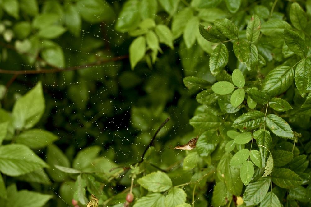 Photograph by Анастасия Полищук