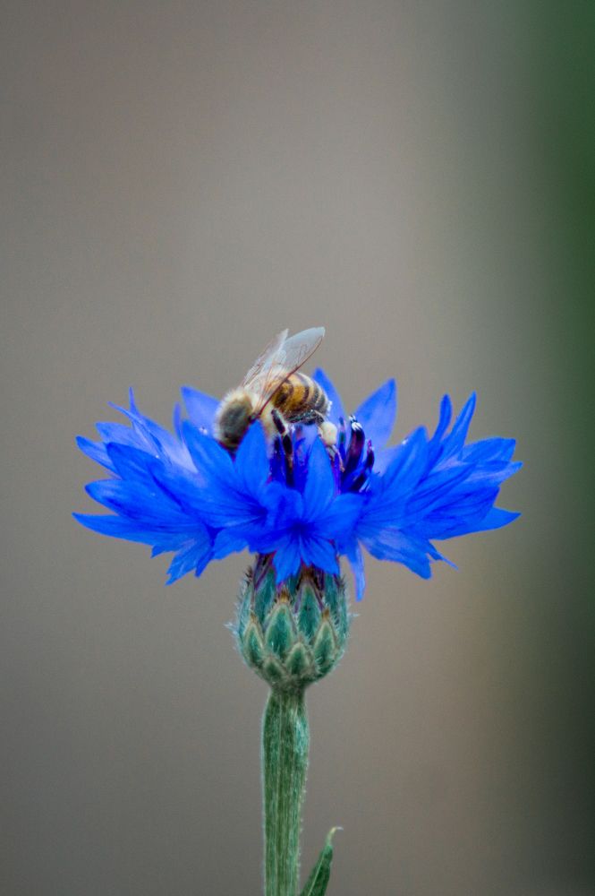 Photograph by Николай Мокшин