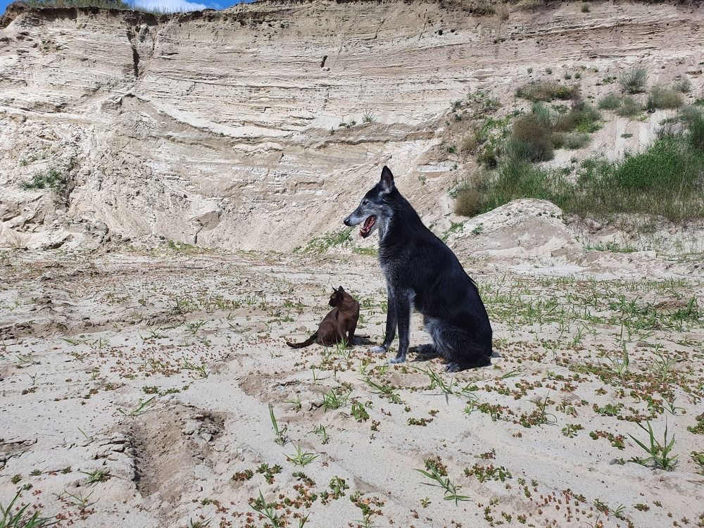 Фотография автора Надежда Лисицына