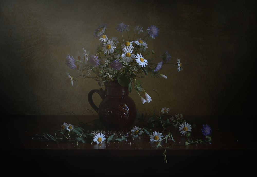 Ромашки и скабиоза