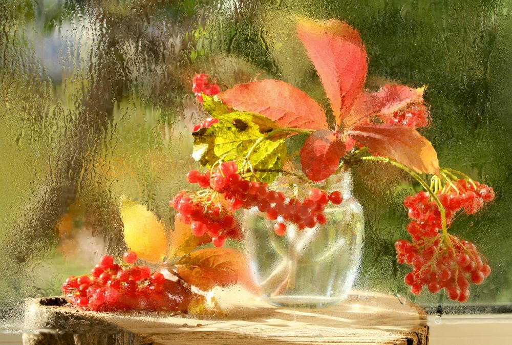 Photograph by Шруб (Беляева) Татьяна