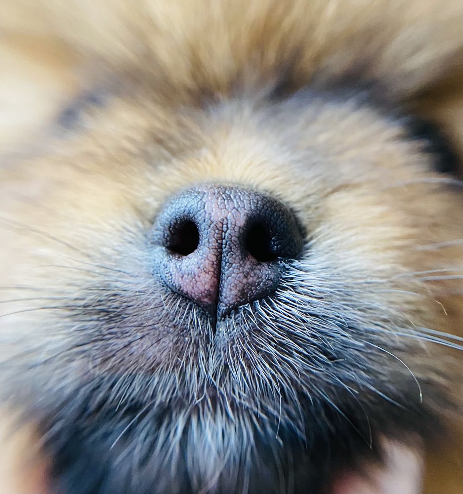 Photograph by Анастасия Рызлеева