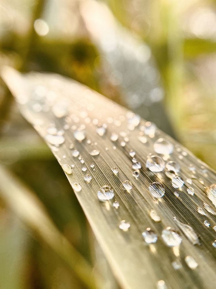 Photograph by Анастасия Рызлеева