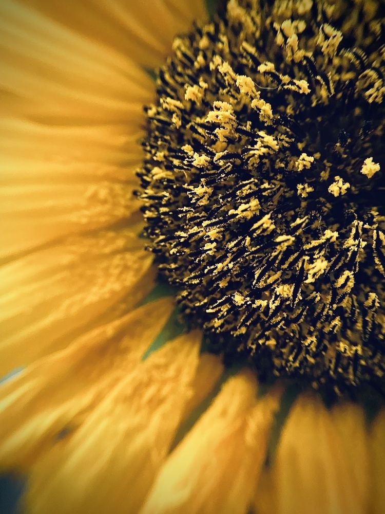 Photograph by Анастасия Рызлеева