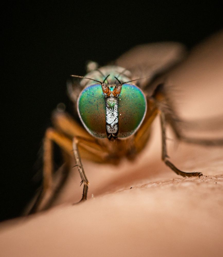 Photograph by Marvin Daniel Marroquin Najera