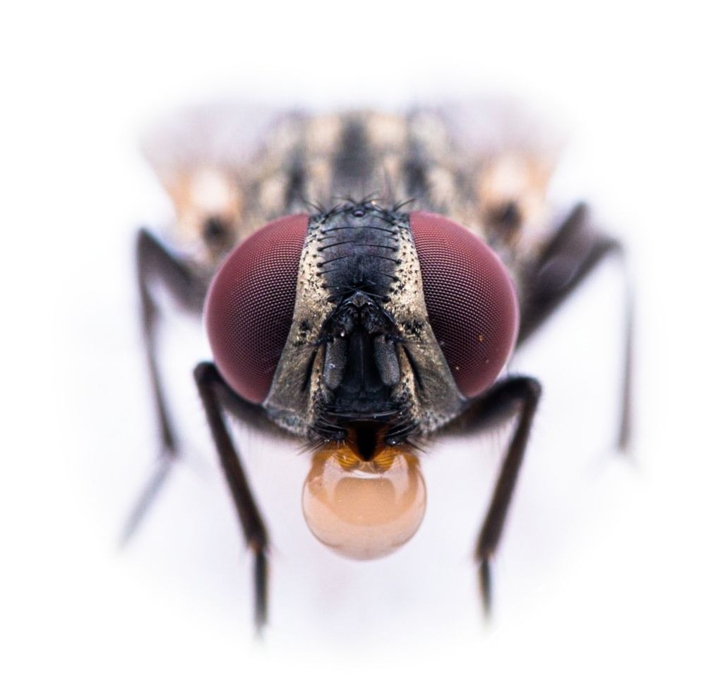 Photograph by Marvin Daniel Marroquin Najera