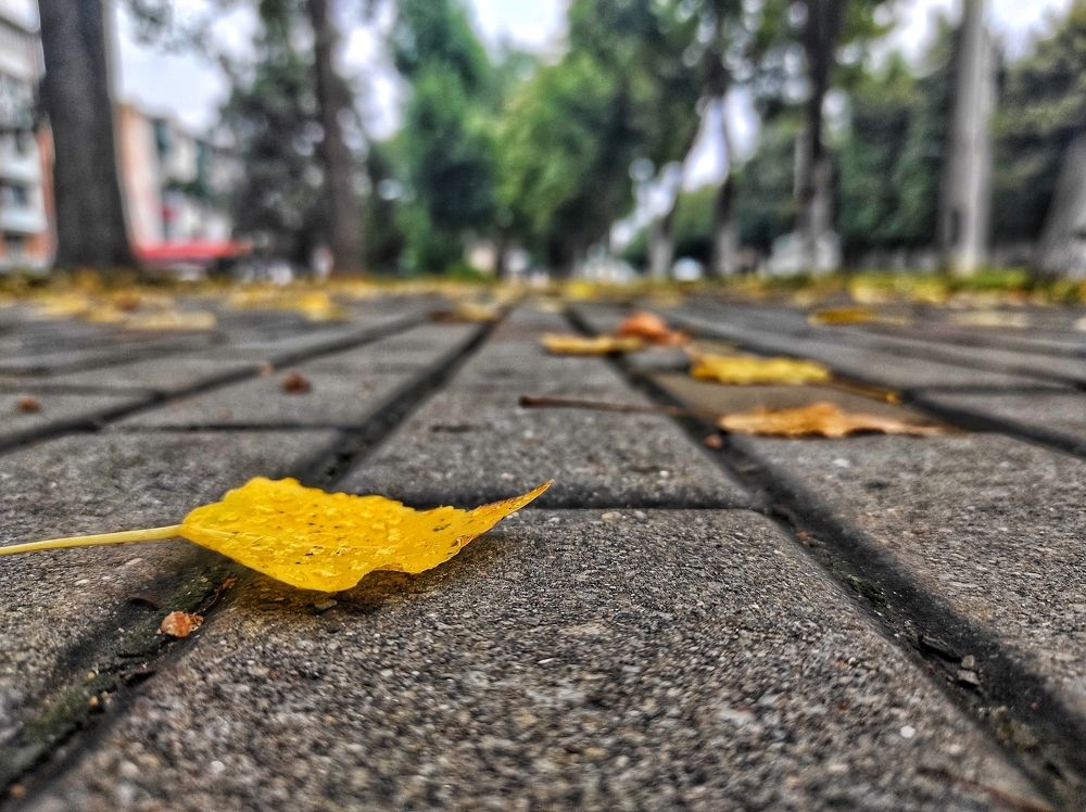 Скоро кончится лето