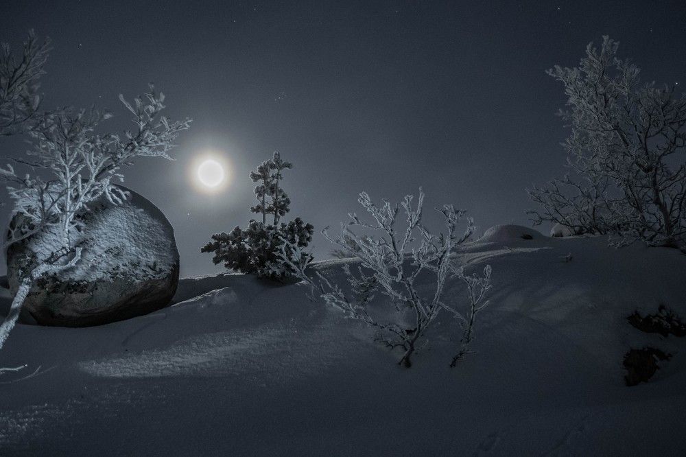 В лесу родилась ёлочка