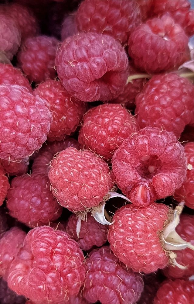 Photograph by Ирина Бочарова