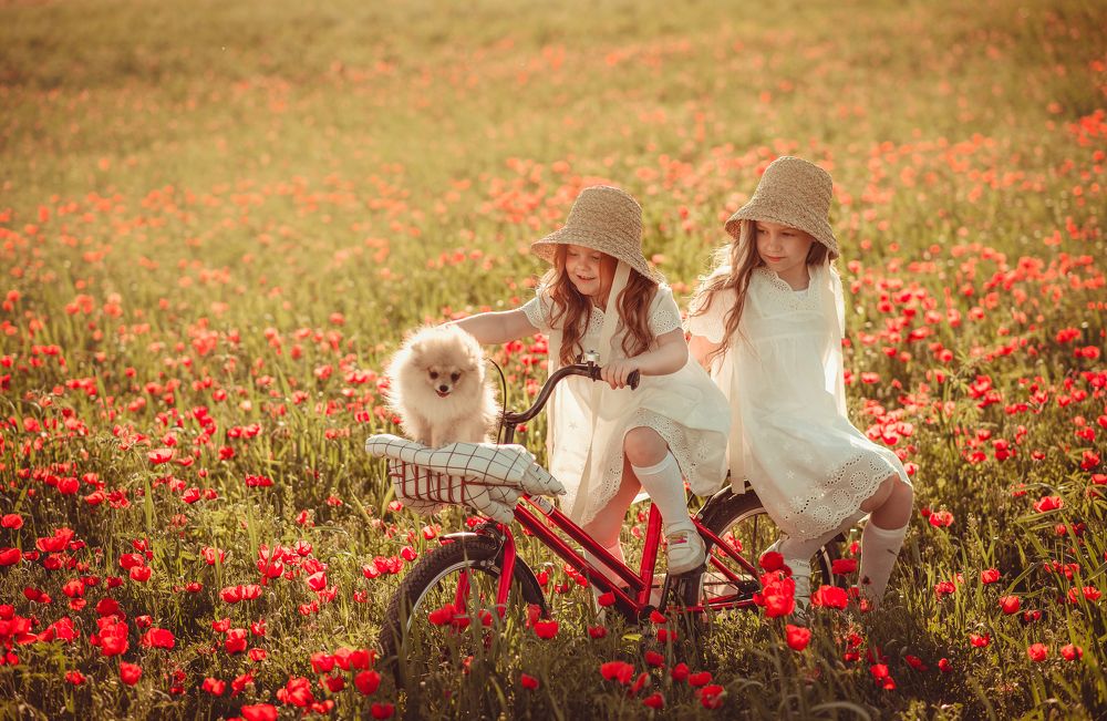 Фотография автора Мария Новгородская