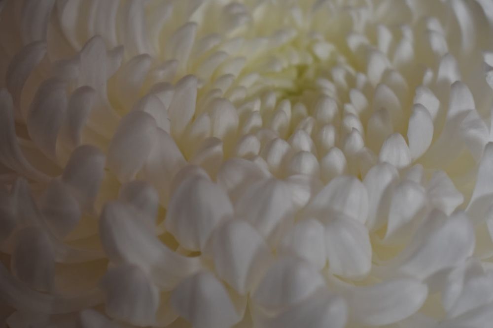 Photograph by Любовь Панфилова