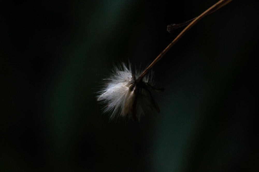 Photograph by Анжелика Трошина