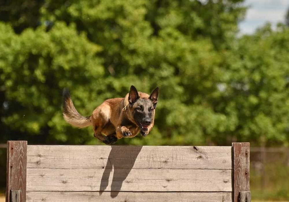 Photograph by Милана Бабченко