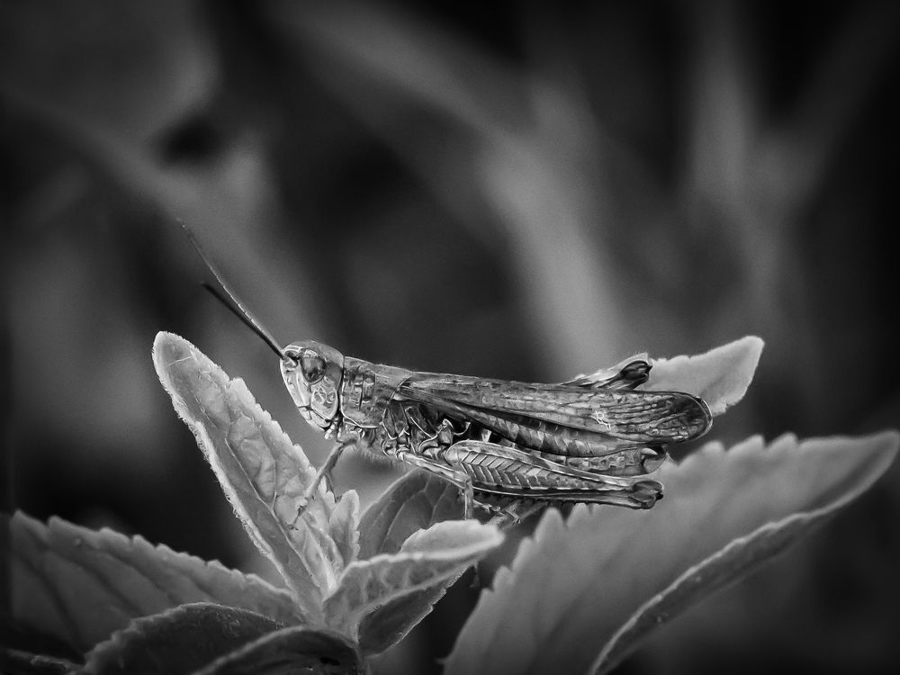 Photograph by Sergey