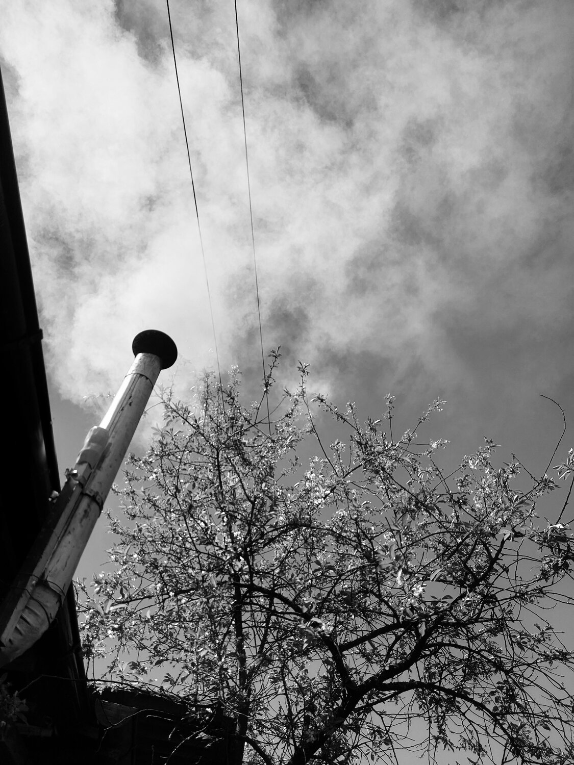 Photo #6399739