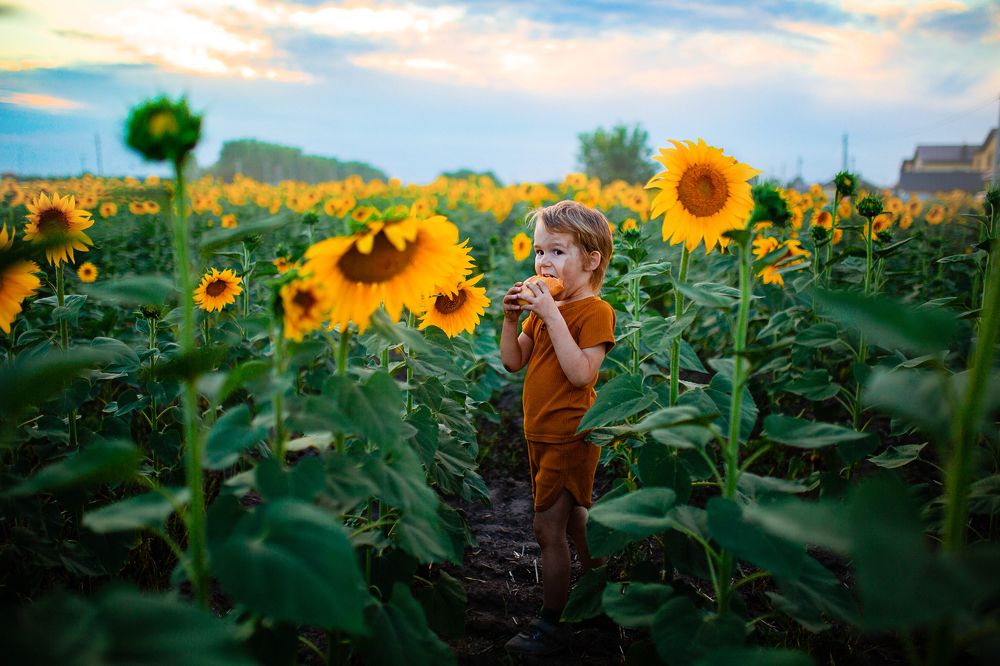 Photograph by Эля Булыгина