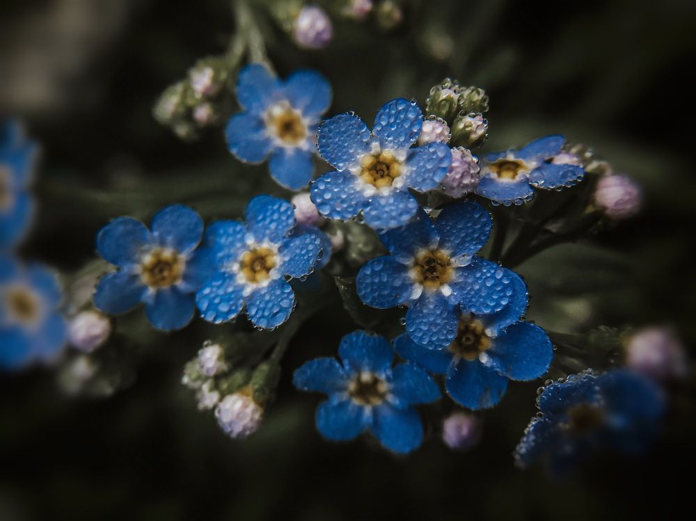 Photograph by Светлана Ишкина