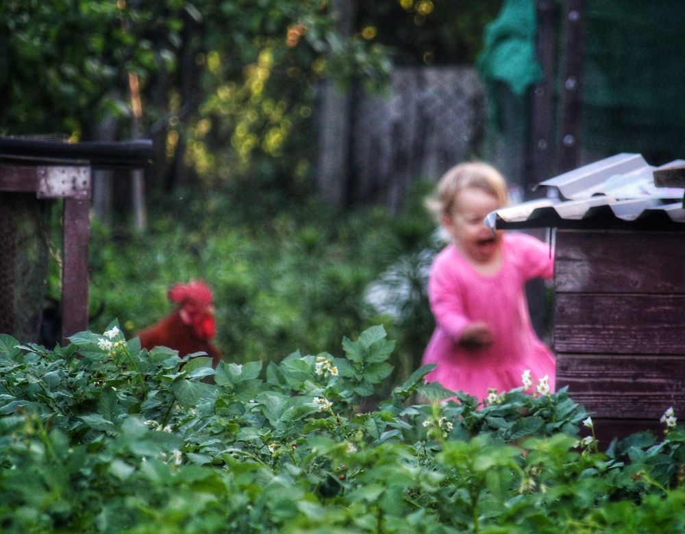 Photograph by Алексей Кроль