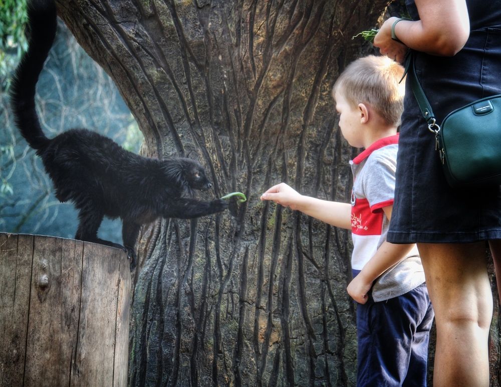 Photograph by Алексей Кроль