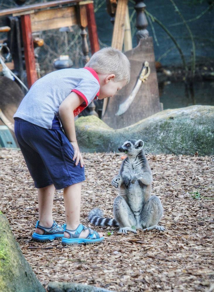 Photograph by Алексей Кроль