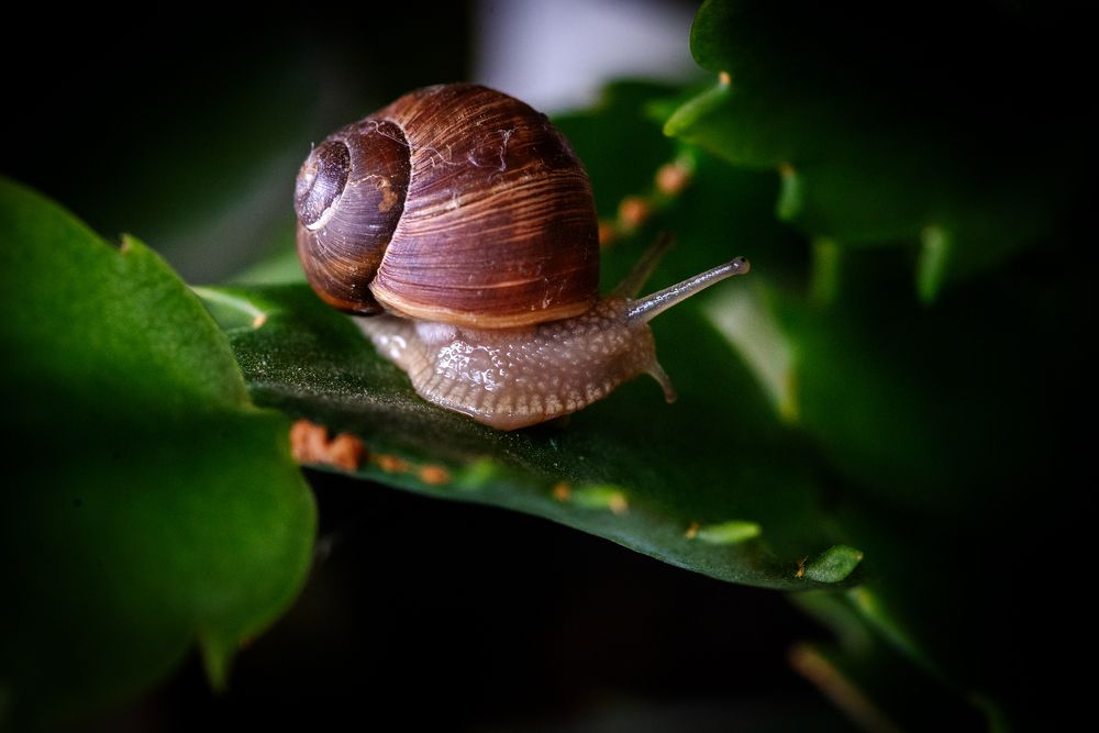 Photograph by Milan Gabarić