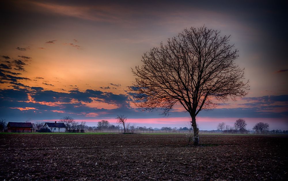 Photograph by Milan Gabarić