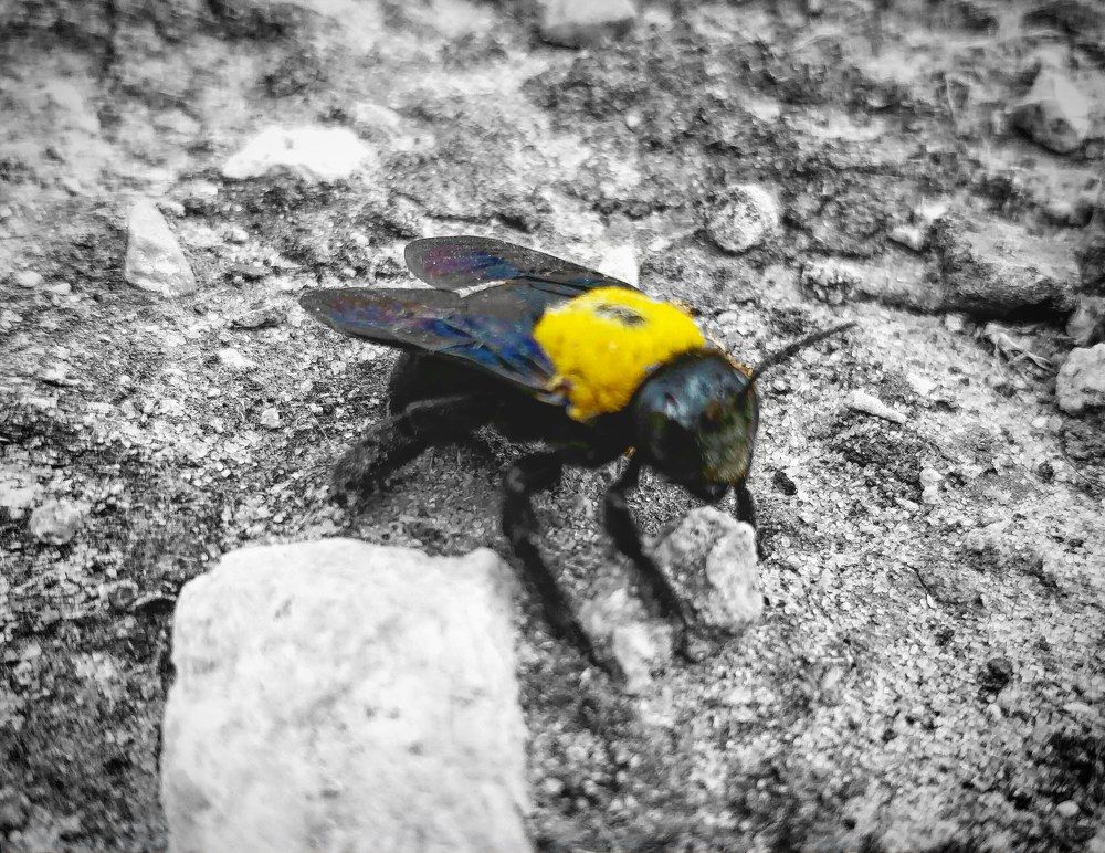 Photograph by Сергей Григорьев