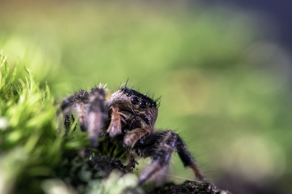 Photograph by Армен Майтесян