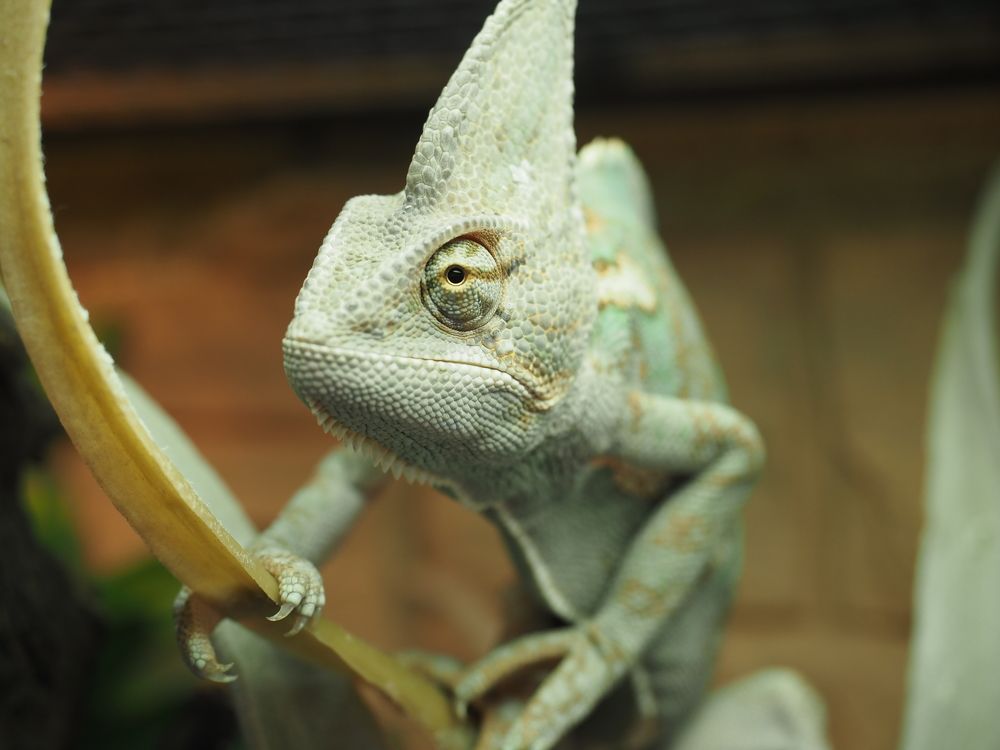 Photograph by Людмила Аненкова