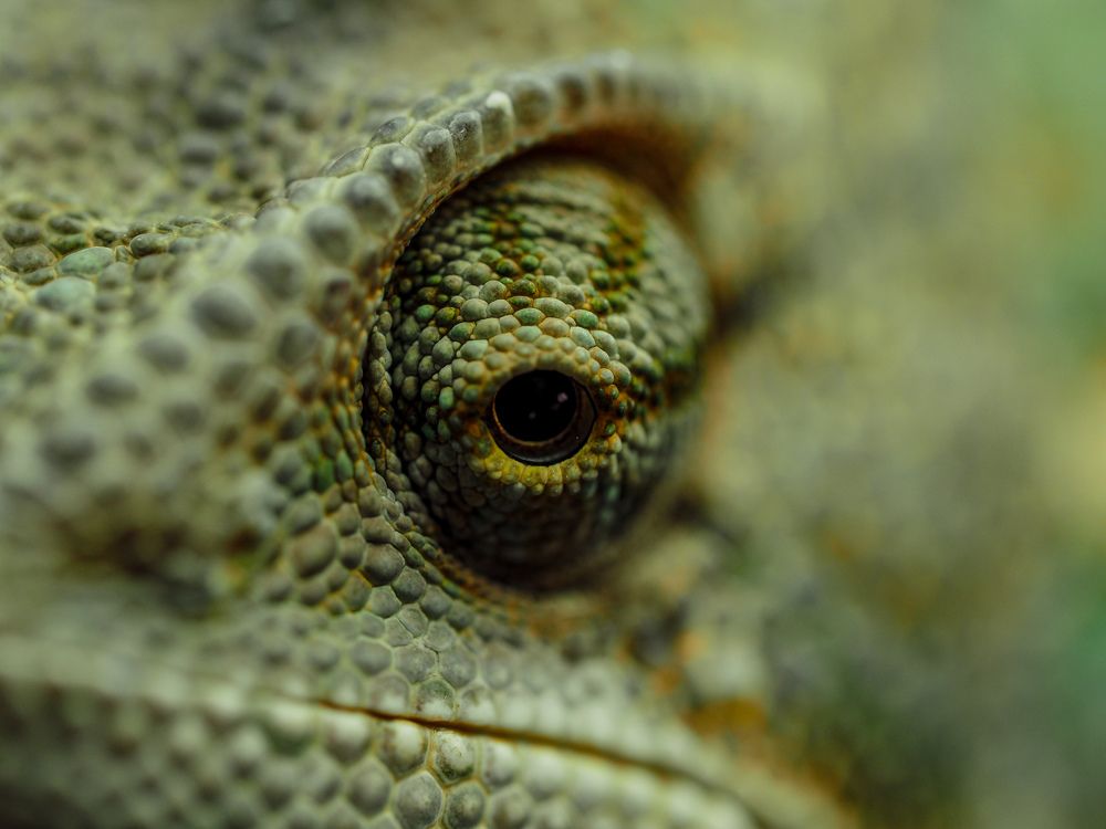 Photograph by Людмила Аненкова