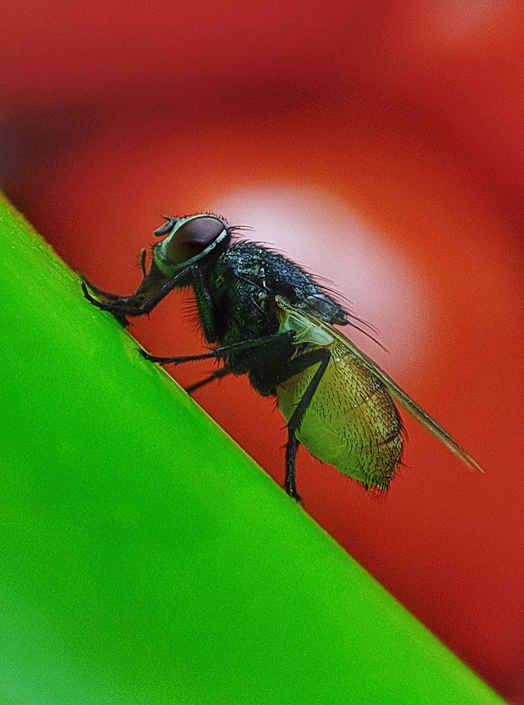 Photograph by Sherko Bahmani