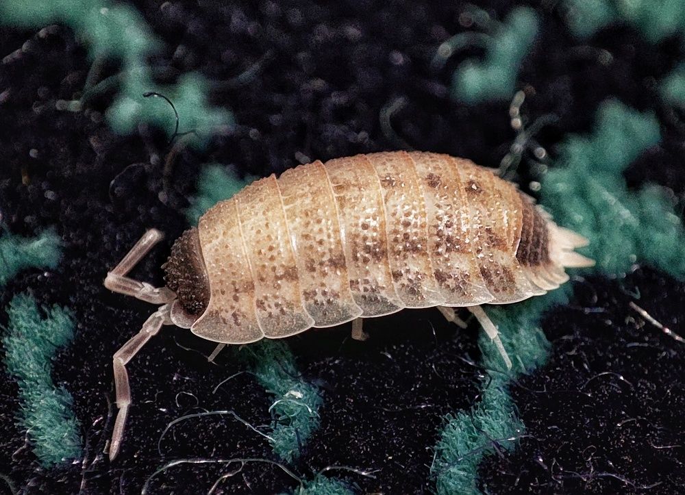 Photograph by Sherko Bahmani