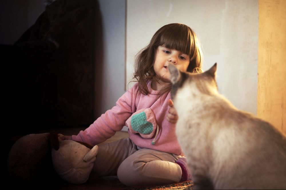 Photograph by Богдан Тарасов