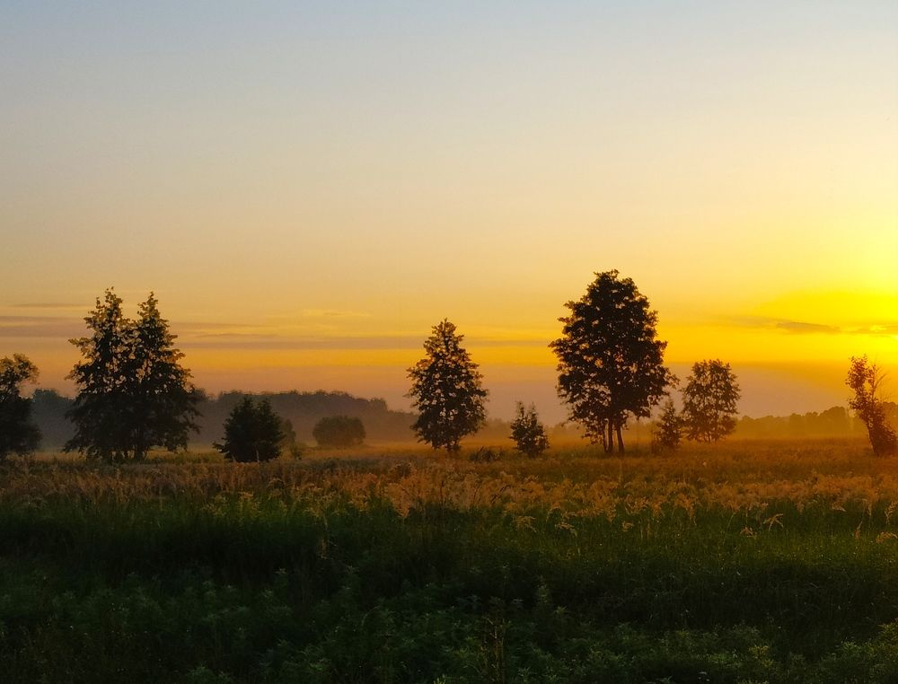 Золотой рассвет.