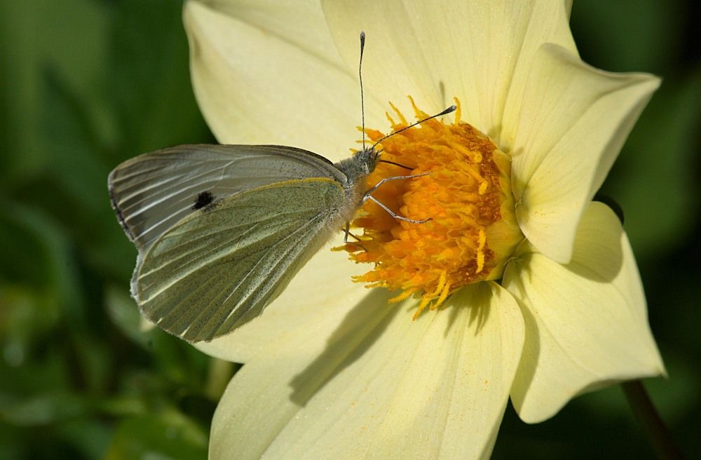 Photograph by Yroslava Veretina