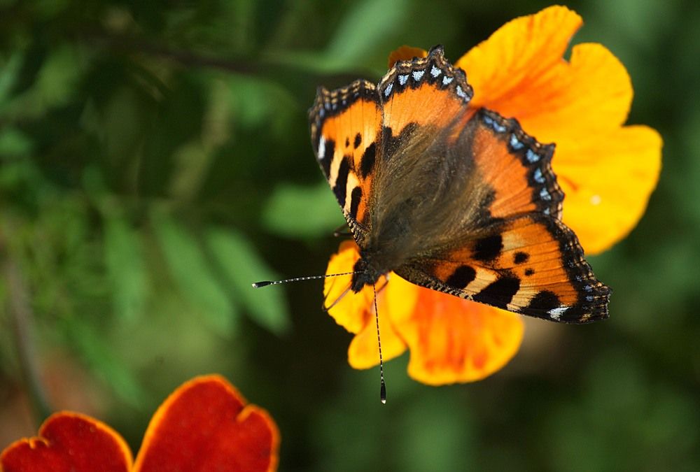 Photograph by Yroslava Veretina