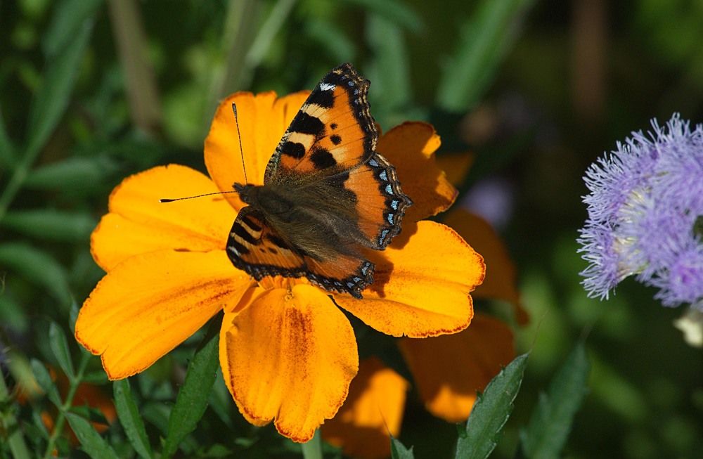 Photograph by Yroslava Veretina