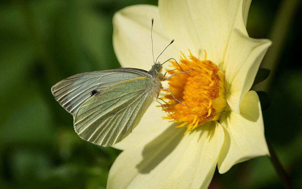 Photograph by Yroslava Veretina