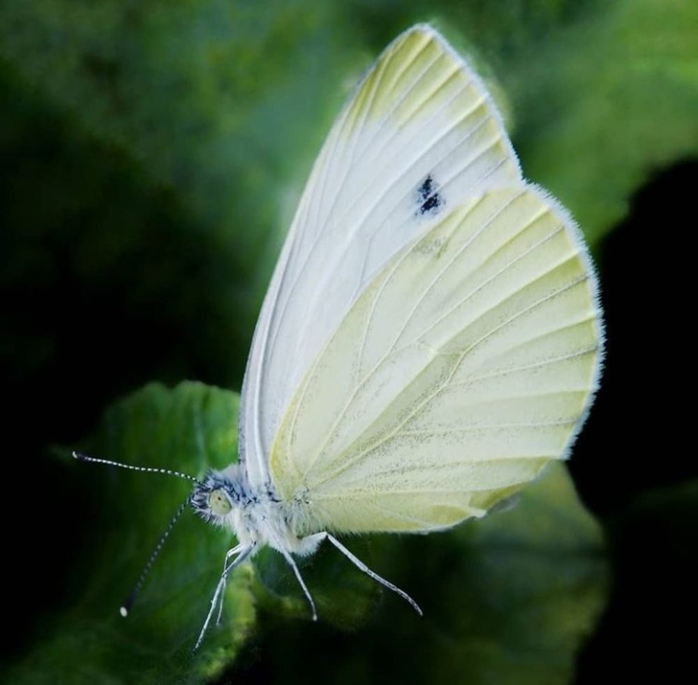 Photograph by Жанна Усатова