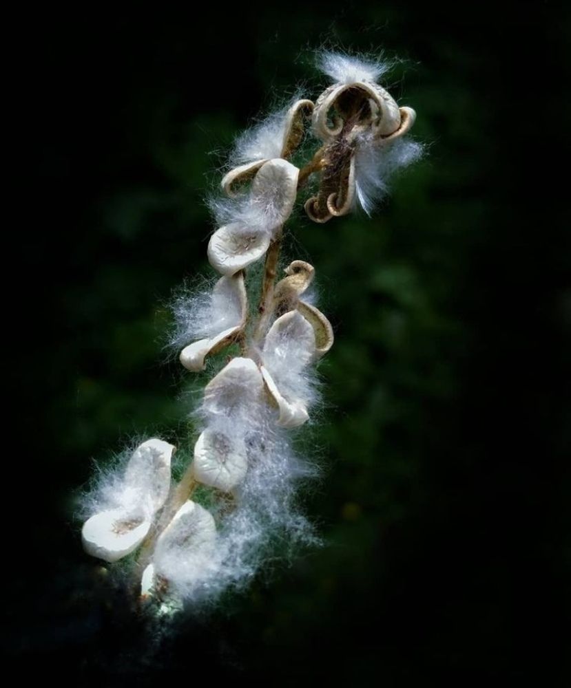 Photograph by Жанна Усатова